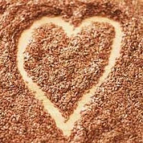 Evidence That Flaxseed Is A Heart Disease Reversing Food