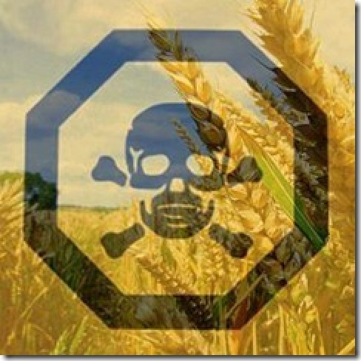 Belizean Activists Say Illegal Planting and Smuggling of GMO Soy An Act of Biopiracy
