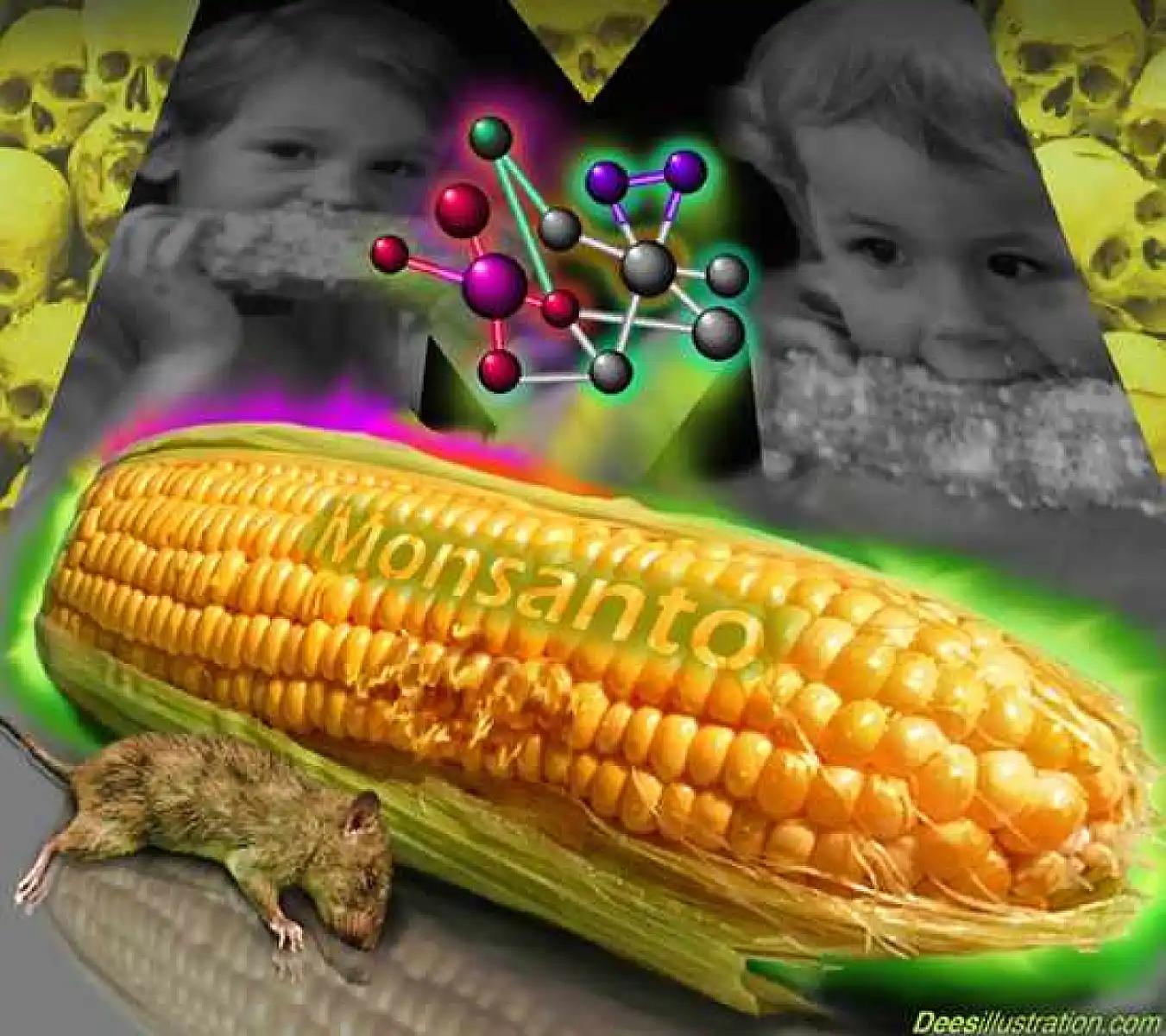 Extreme Toxicity of Roundup Destroys GM/Non-GM 'Substantial Equivalence' Argument