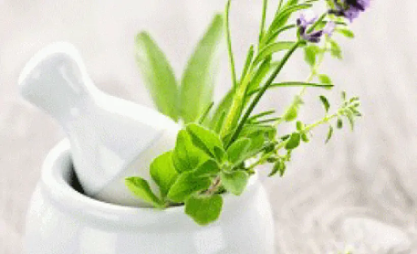 10 Natural Substances for Type 1 Diabetes