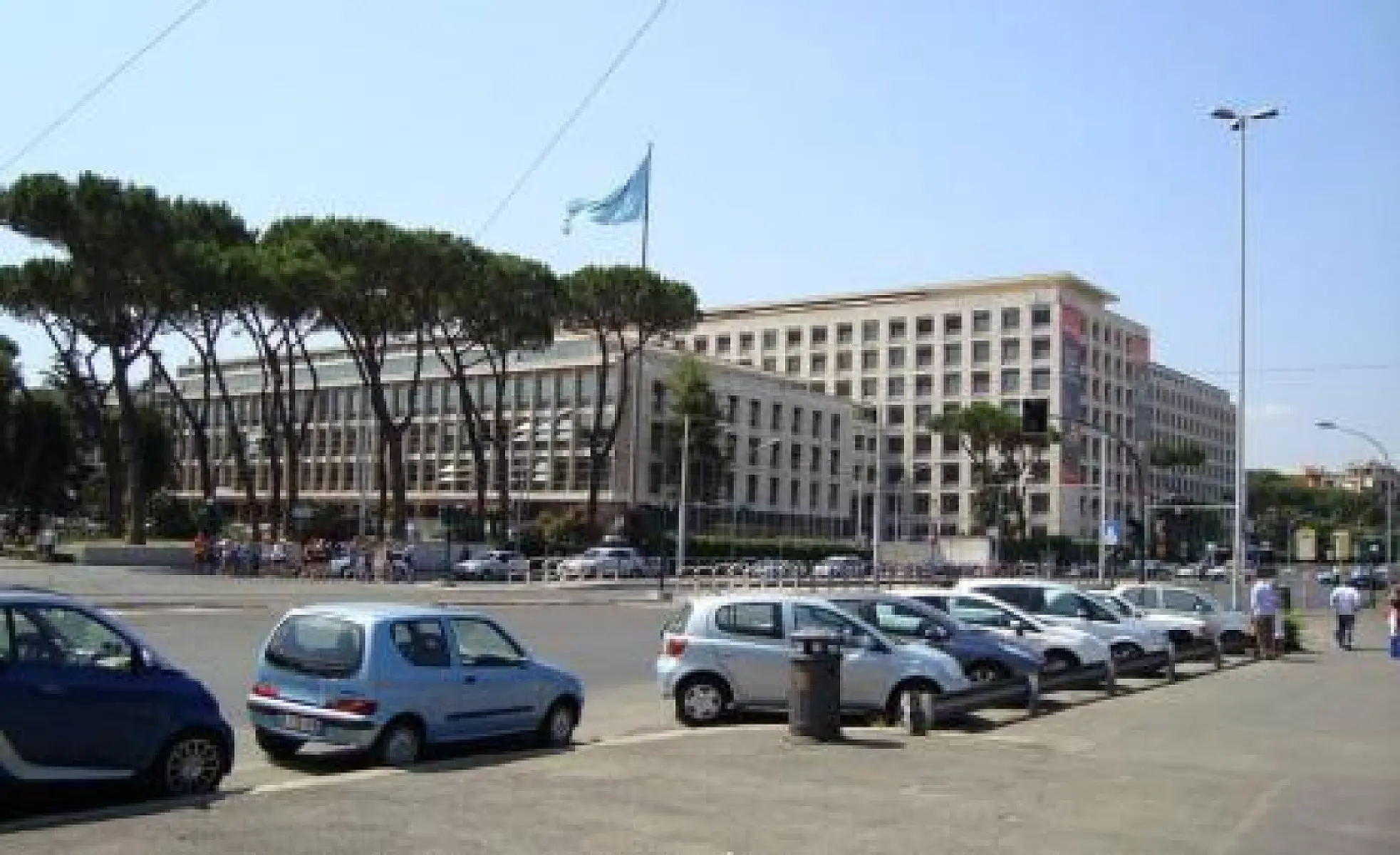 Codex Update from Rome: How One Small African Country Made A Brave Stand