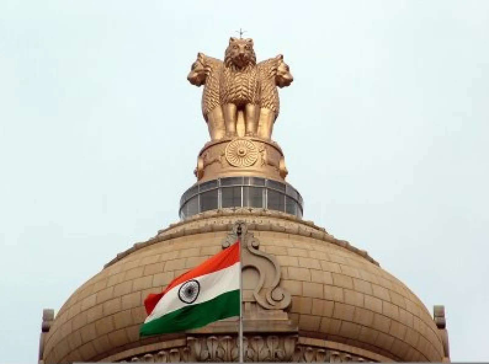Indian Supreme Court Panel Recommeds Halt To All GM Field Trials