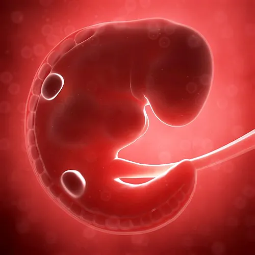Roundup and Birth Defects: Is the Public Being Kept in the Dark?