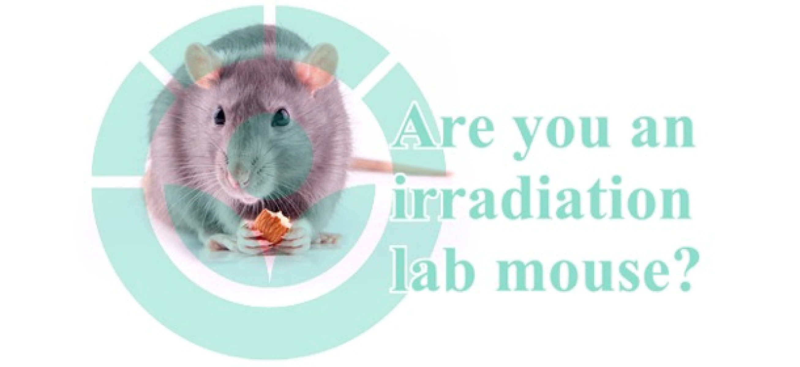 Food Irradiation Supports Agribusiness, Harms Health