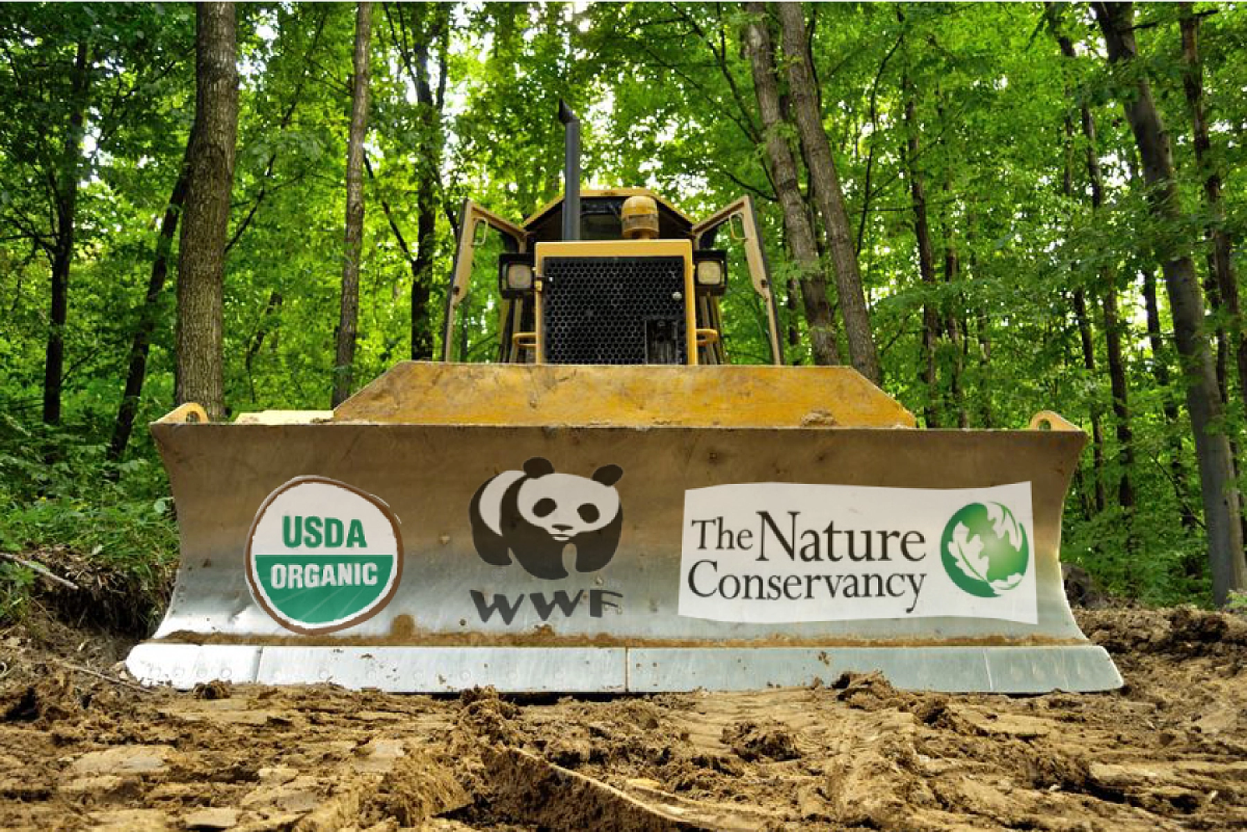 Way Beyond Greenwashing: Have Corporations Captured Big Conservation?