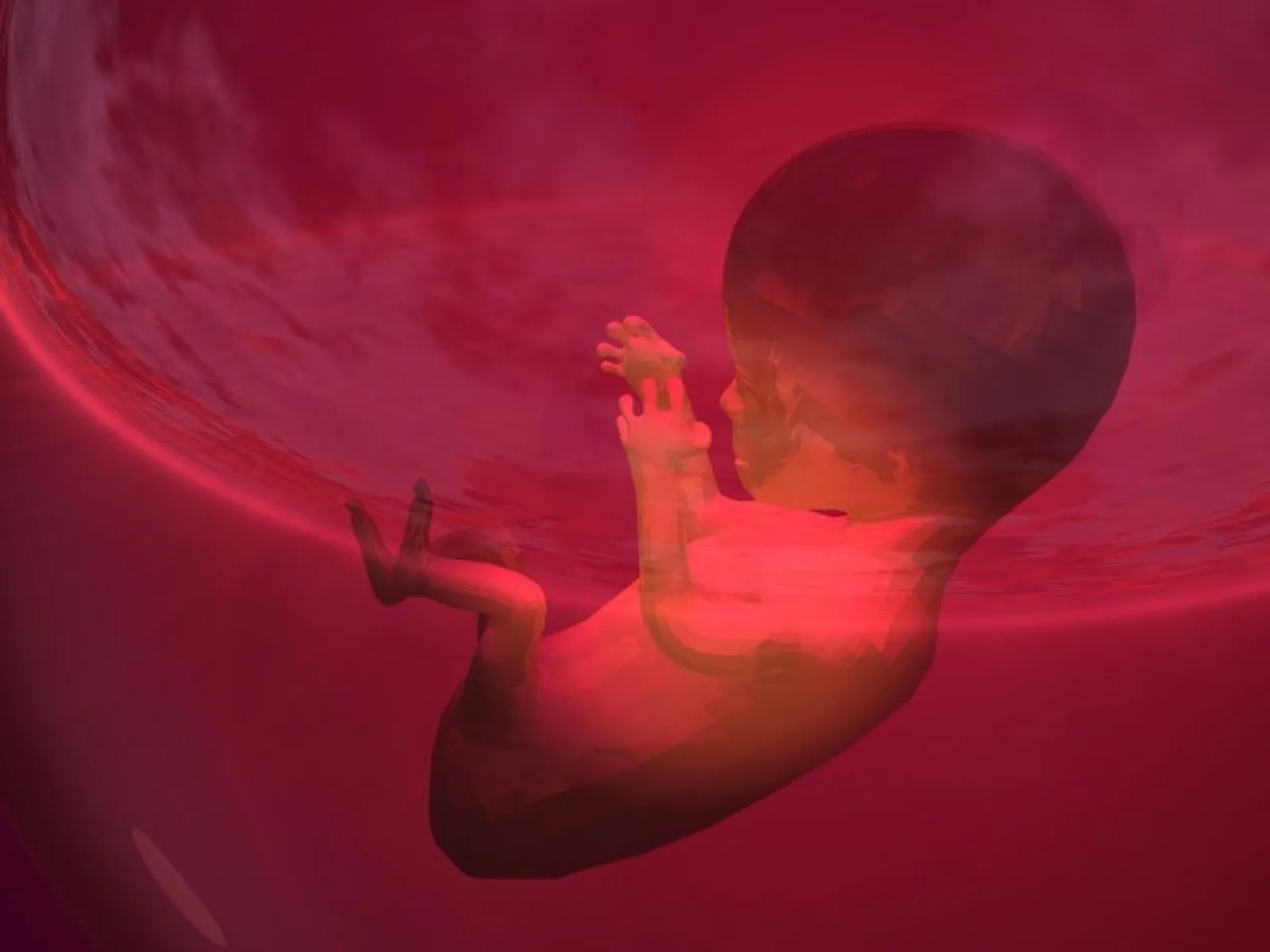 Government Agents Gave Cover for Roundup’s Birth Defects