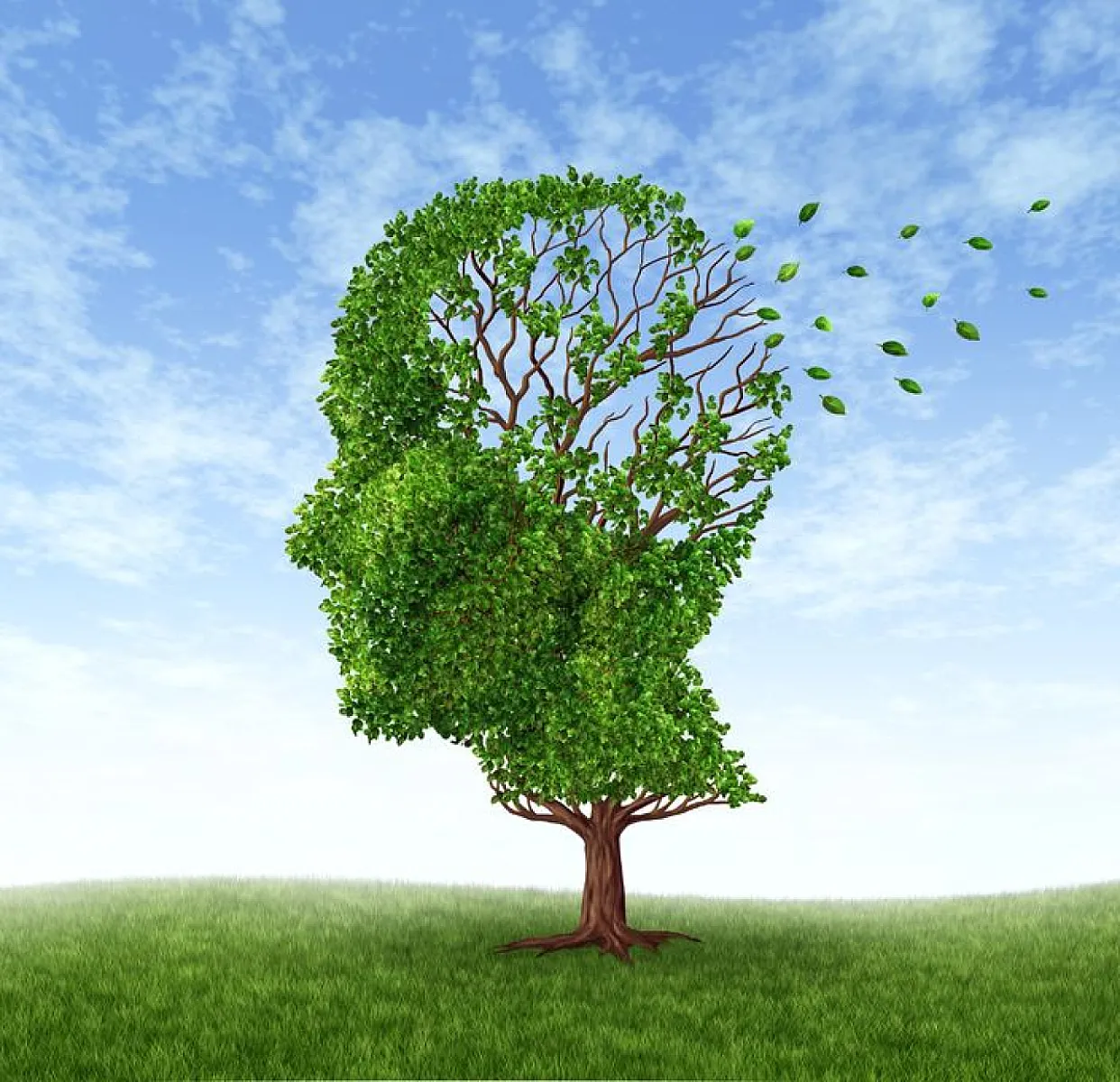 Which Antioxidants Protect Against Alzheimer’s Disease?
