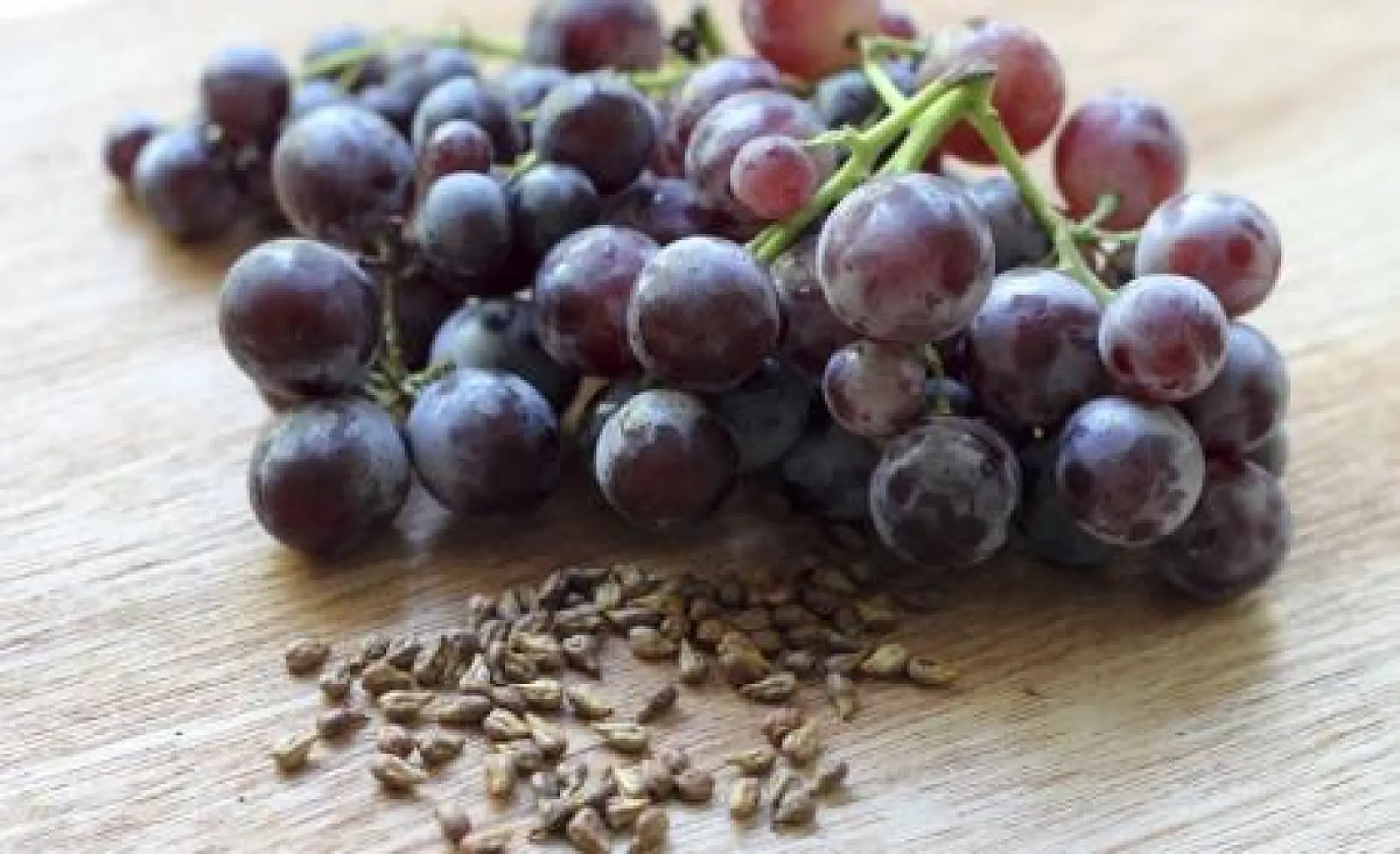 Grape Seed Extract Superior to Blockbuster Diabetes Drug, Preclinical Study Finds