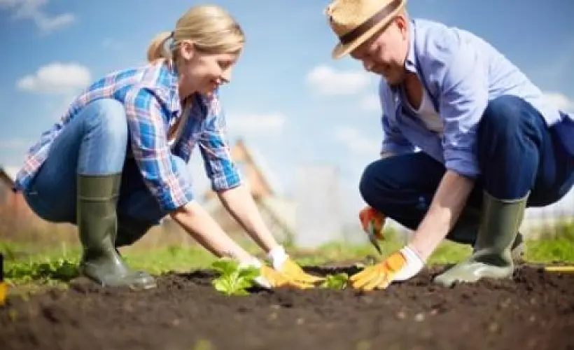 Health Benefits of Garden Therapy