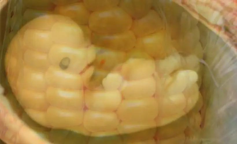 Biotech's Dark Promise: Involuntary Cannibalism for All