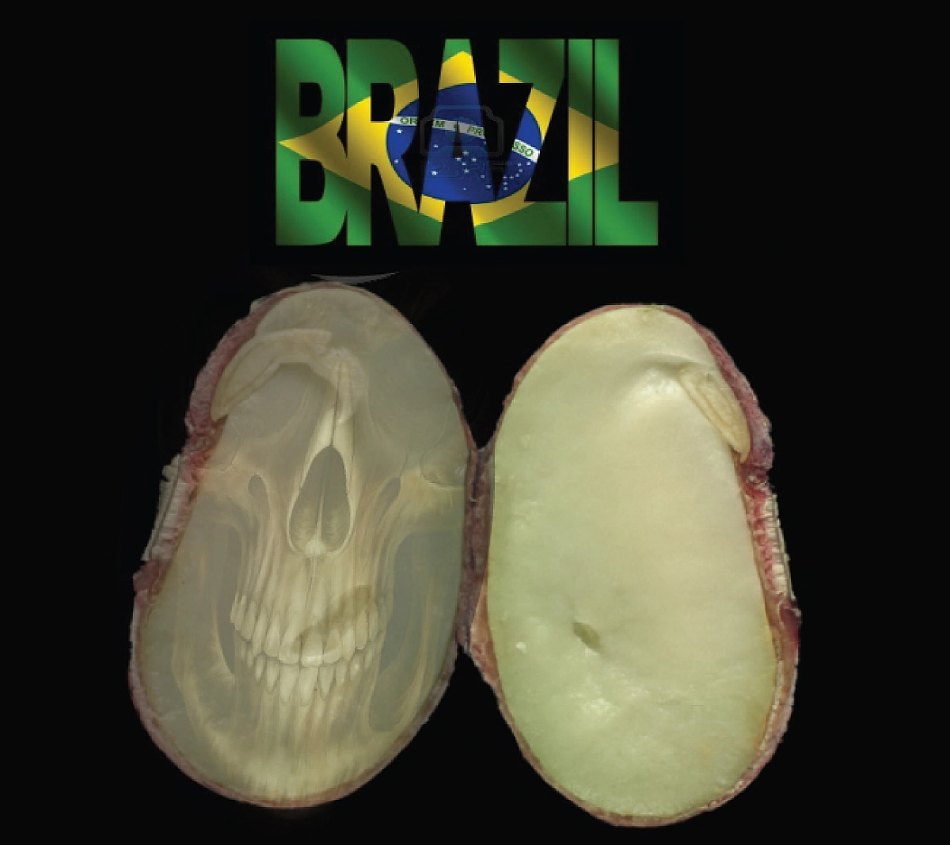 Brazil Signals It May Release Terminator Seed Technology