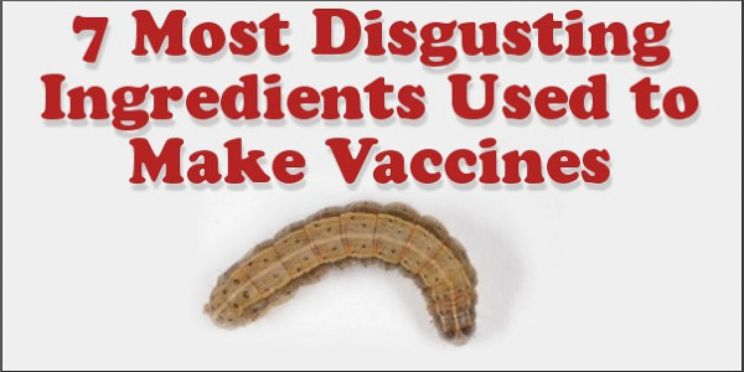 7 Most Disgusting Ingredients Used To Make Vaccines