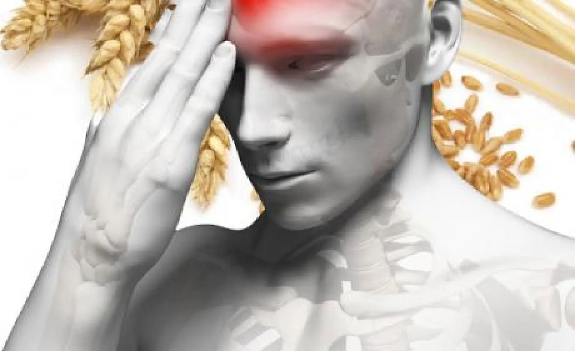 The Grain That May Damage The Human Brain