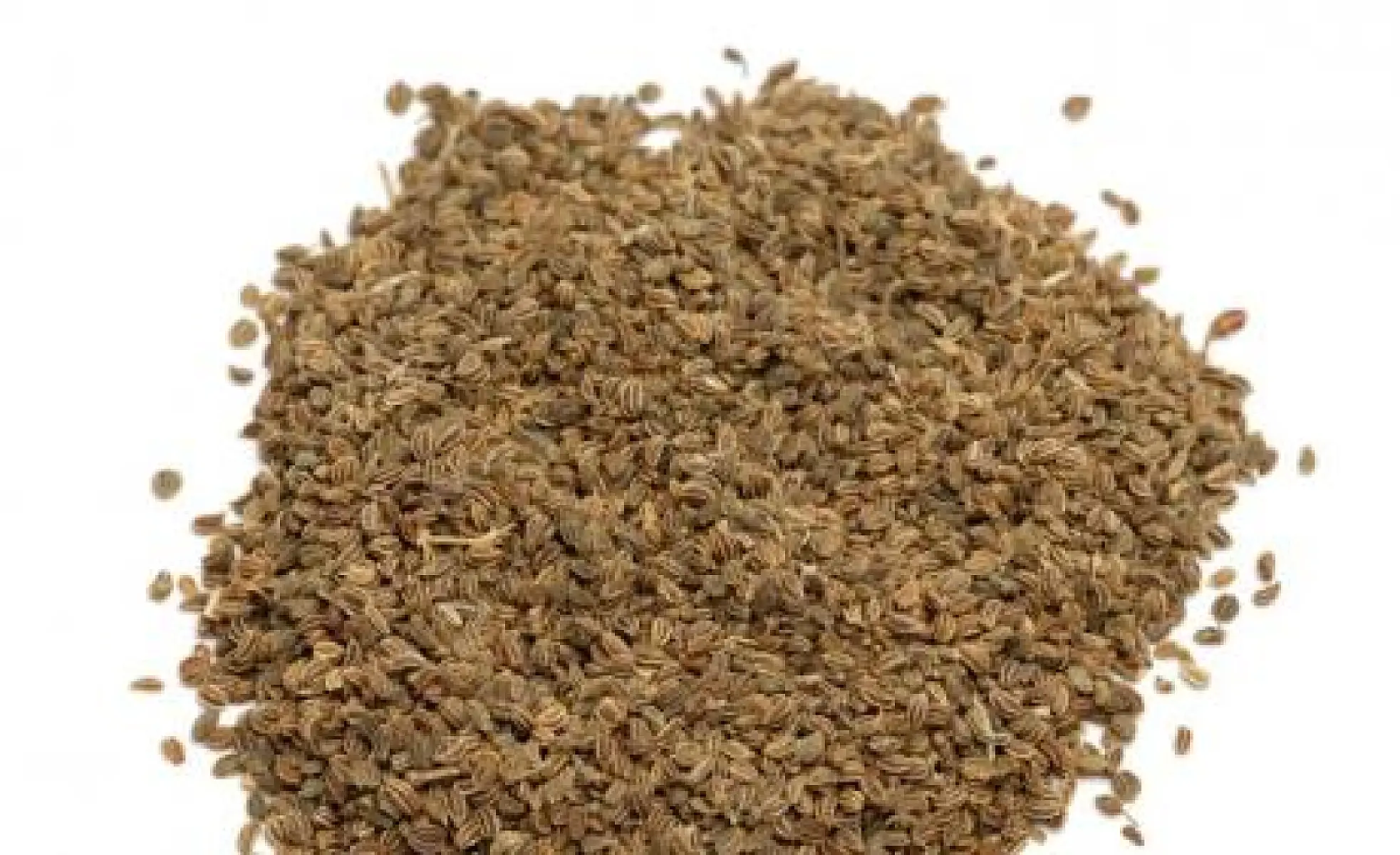 Celery Seed Extract Lowers High Blood Pressure in Human Study