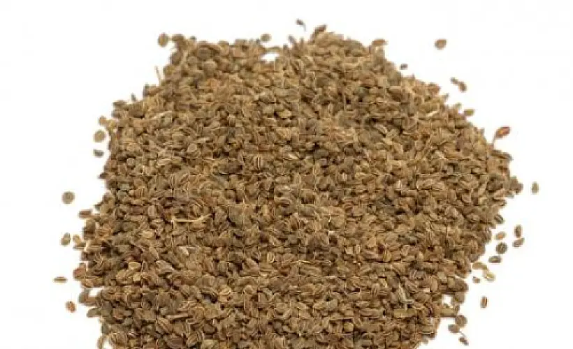 Celery Seed Extract Lowers High Blood Pressure in Human Study