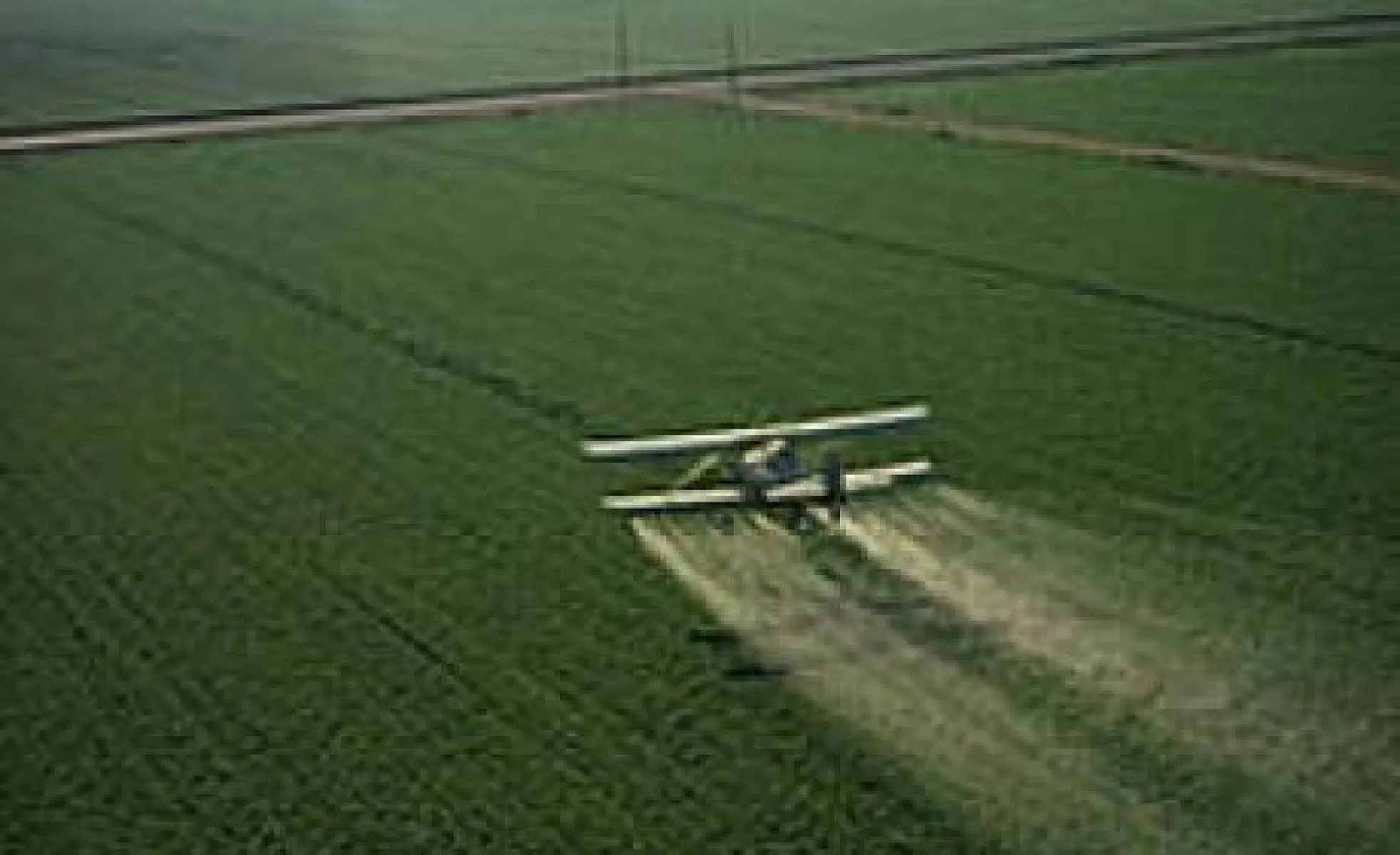 Research: Roundup Diluted by 450-Fold is Still Toxic to DNA