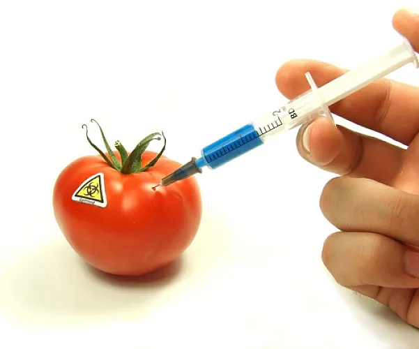 Connecting the Dots: GMOs and Vaccines