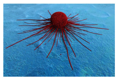 Cancer Resistance