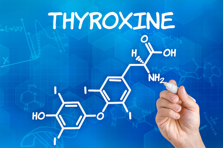 How Natural Desiccated Thyroid puts T4-only Medications in the Garbage Can