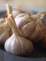 Garlic Benefits