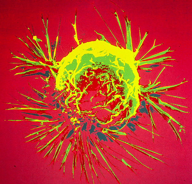 Preventing Cancer at the Molecular Level