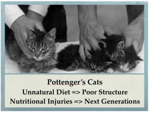 Lessons from Pottengers Cats Children Nutrition