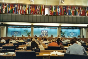 Codex meeting