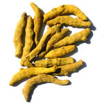 Curcuma longa