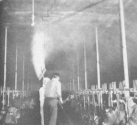 Pesticides and Polio