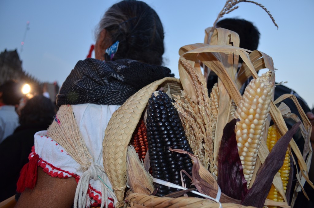 Monsanto Conquest Meets Aztec Resistance