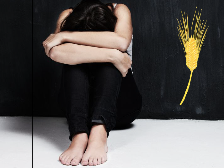http://www.greenmedinfo.com/blog/60-years-research-links-gluten-grains-schizophrenia