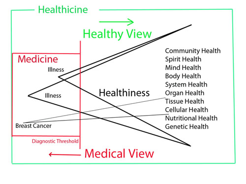 A diagram that shows the relationship between medicine and healthicine
