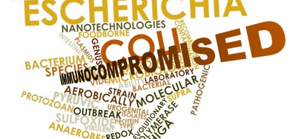 Gut Biota Never Recover from Antibiotics: Damages Future Generations