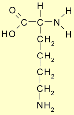 Linus Pauling Heart Disease Prevention with Vitamin C