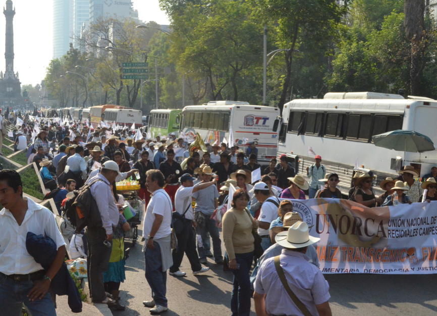 Aztec Resistance to GMOs