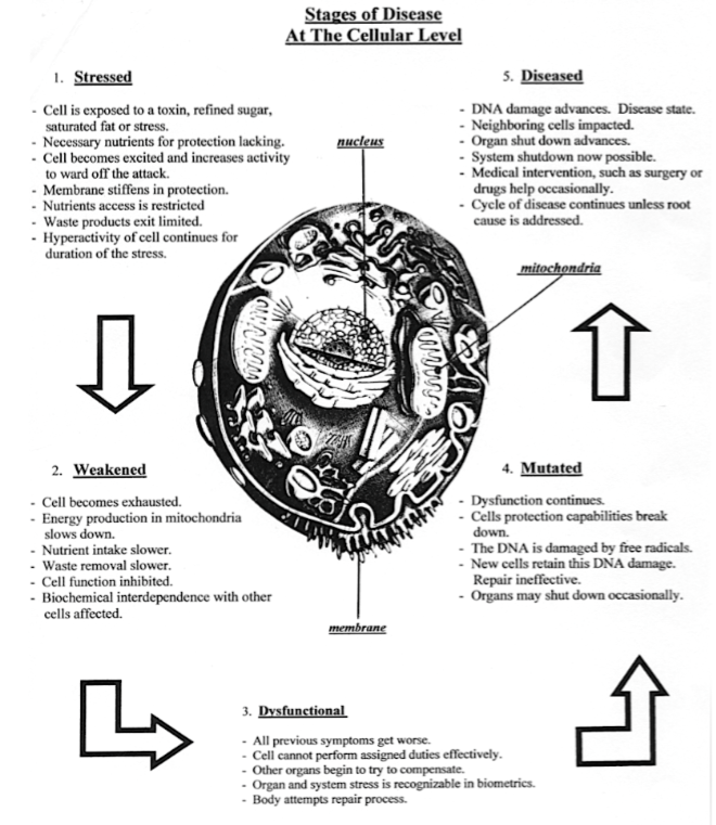 Preventing Cancer at the Molecular Level