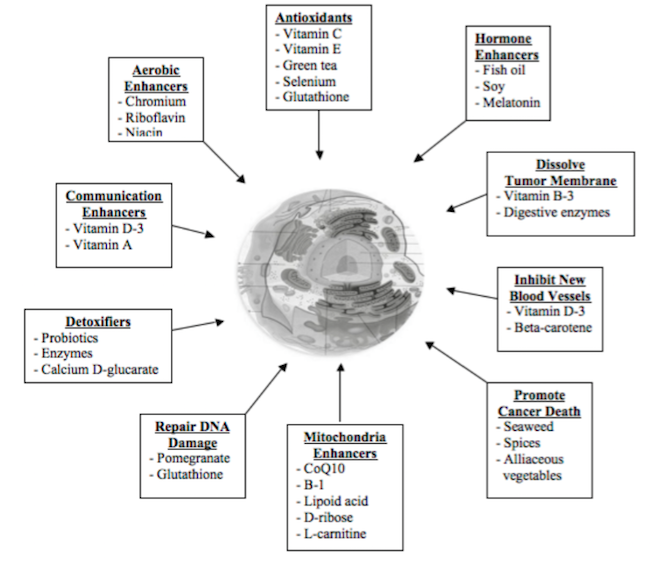 Preventing Cancer at the Molecular Level