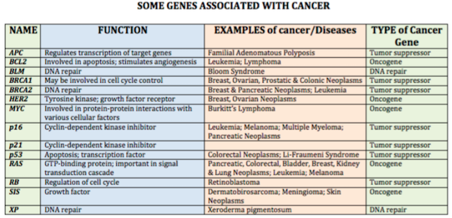 Preventing Cancer at the Molecular Level