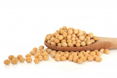 Soy Burns Fat