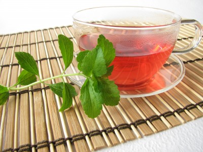 Stevia Extract
