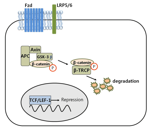 Targeting Cancer Stem Cells with NonToxic Therapies