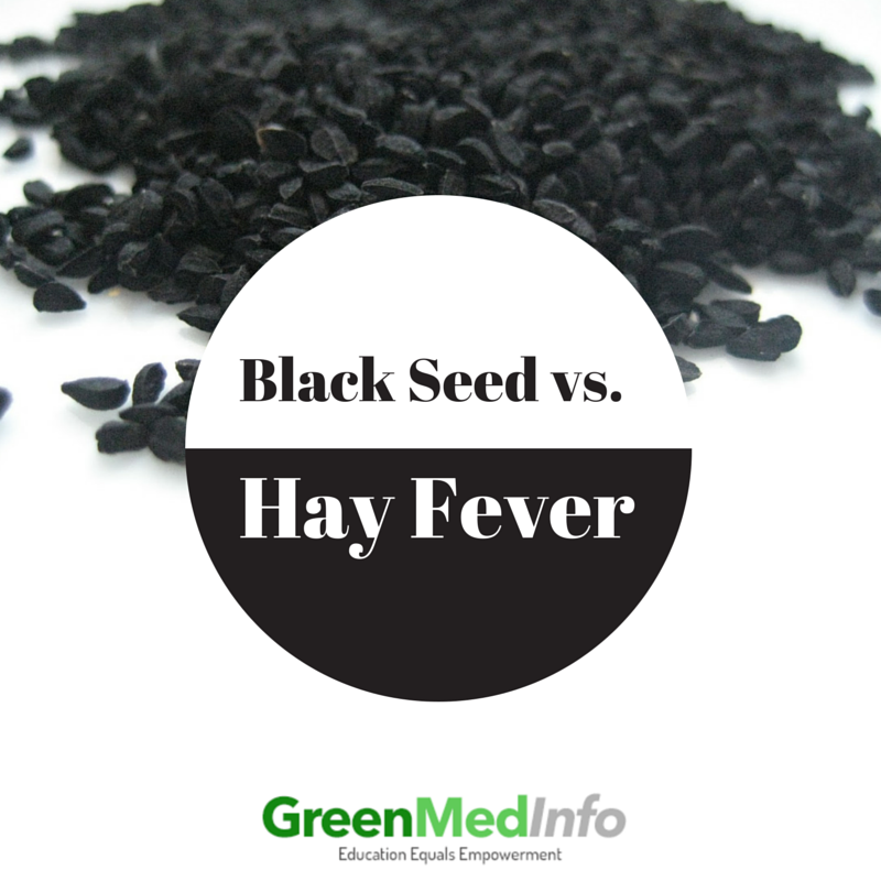 Black Seed Oil for Hay Fever?