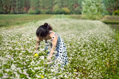 Buckwheat - 9 Great Reasons to Know it, Plant it, Grow it and Eat it!