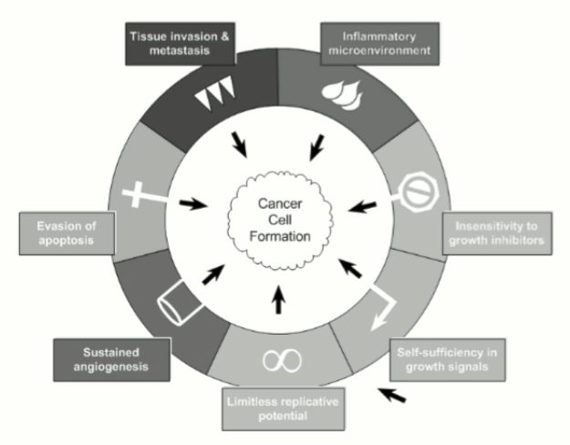 Preventing Cancer at the Molecular Level