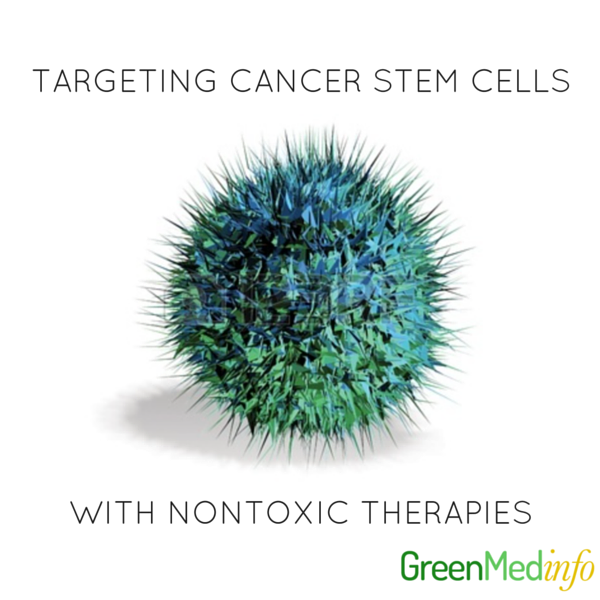 Targeting Cancer Stem Cells with NonToxic Therapies