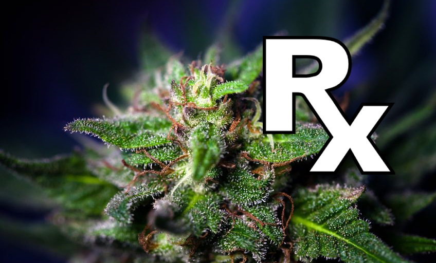 cannabis rx
