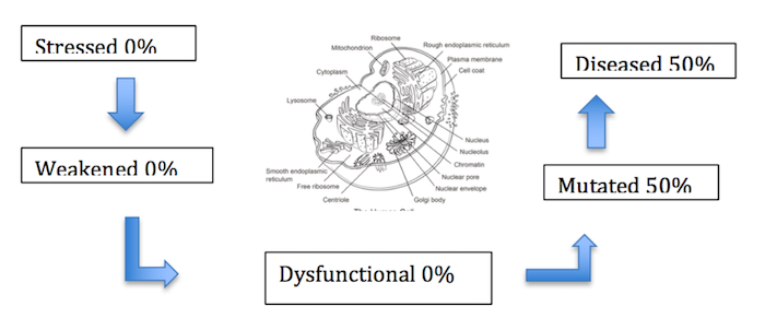 Preventing Disease Before It Starts