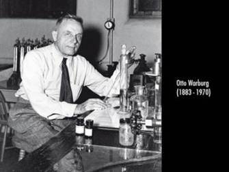 Otto Warburg