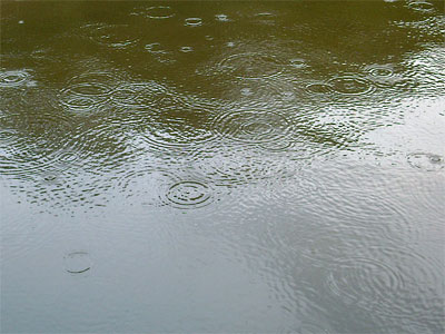 contaminated rainwater