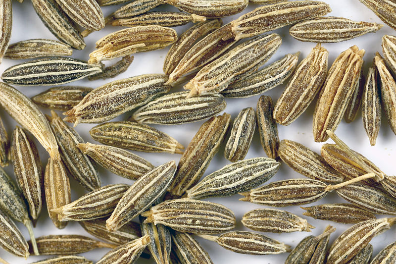 Cumin: Not A Seed, But A Fruit With Remarkable Healing Gifts